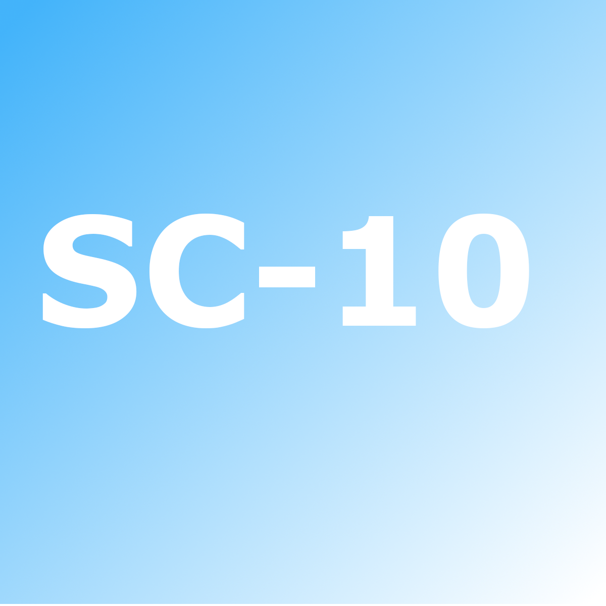 Parts for the SC-10 compressor