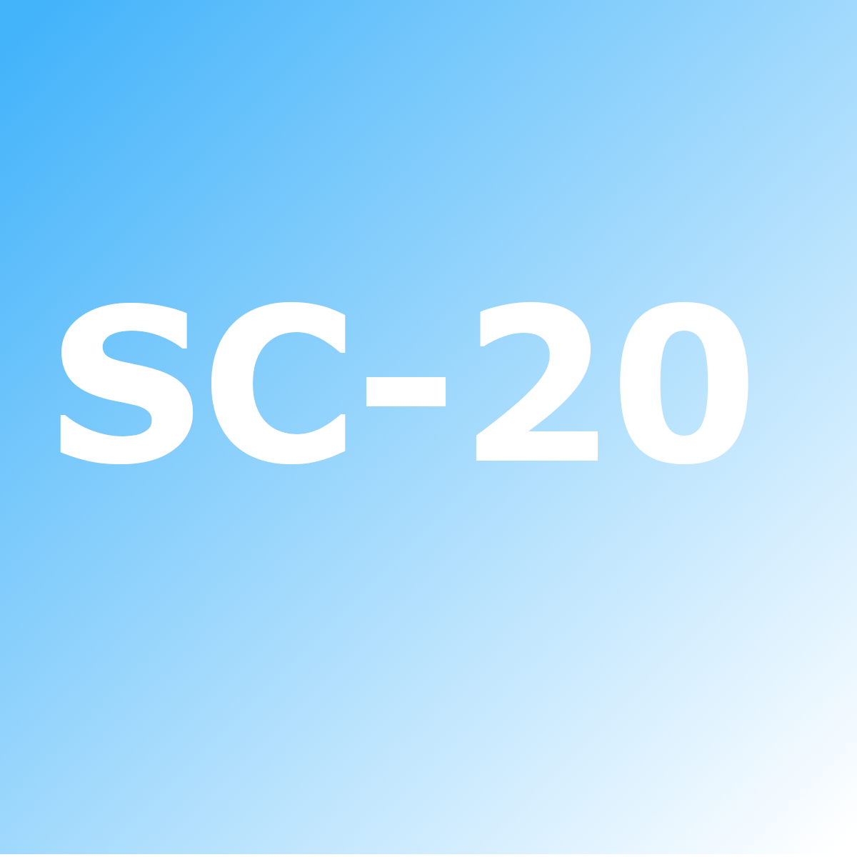 Parts for the SC-20 compressor